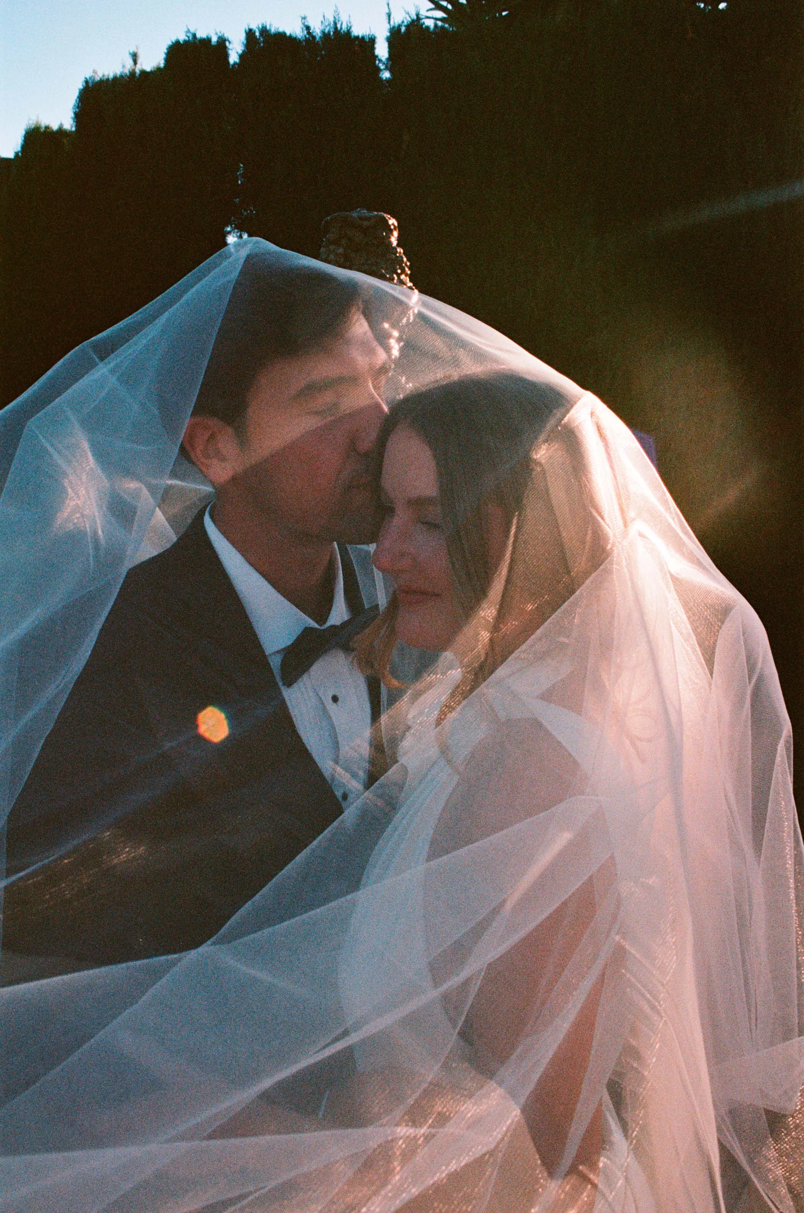 Bride and groom under sunlit veil